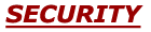 Logo SECURITY