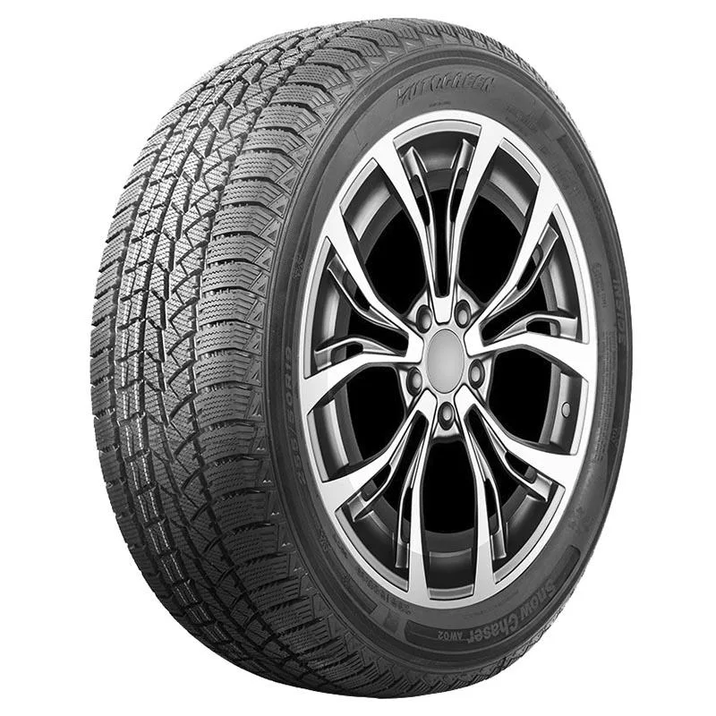 AUTOGREEN SNOW CHASER AW02 255/45R19 104T TL