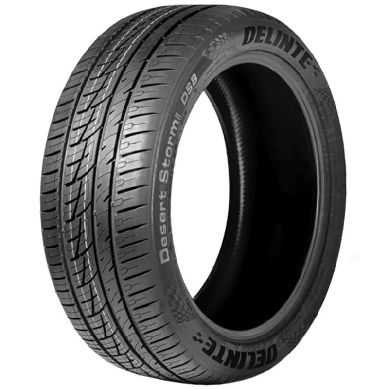 DELINTE DESERTSTORM 2 DS8 255/45ZR19 100Y TL