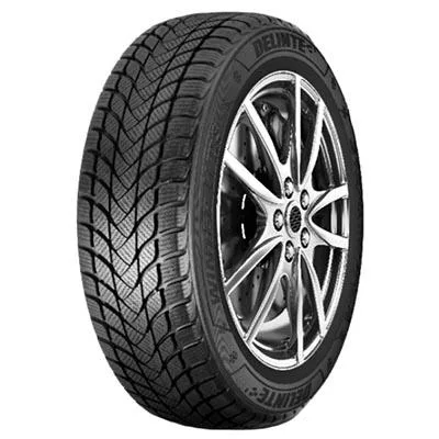 DELINTE WINTER WD3 225/55R18 98T TL