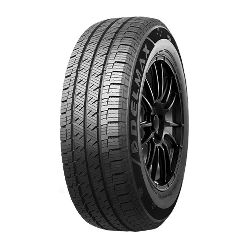 DELMAX X WEATHER VAN 2 4S