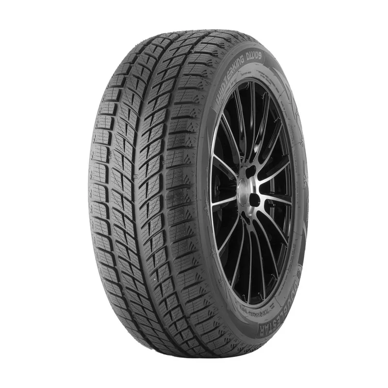 DOUBLE STAR WINTERKING DW09 245/40R18 93H TL
