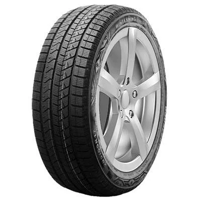 DOUBLE STAR WINTERKING DW16 245/55R19 103T TL