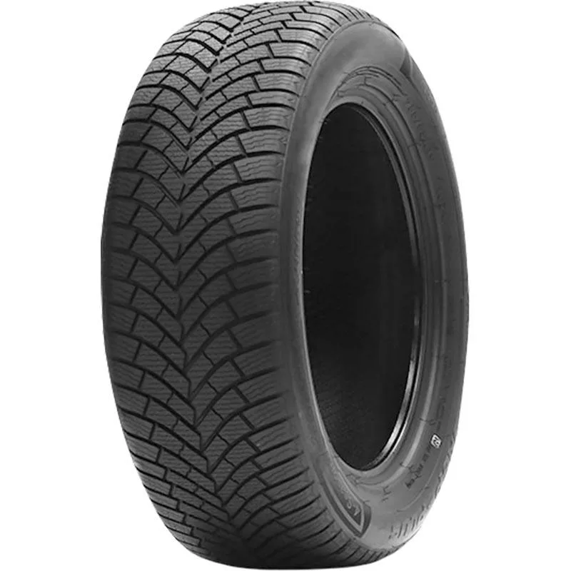 DOUBLECOIN WASP PLUS 205/55R17 95V TL