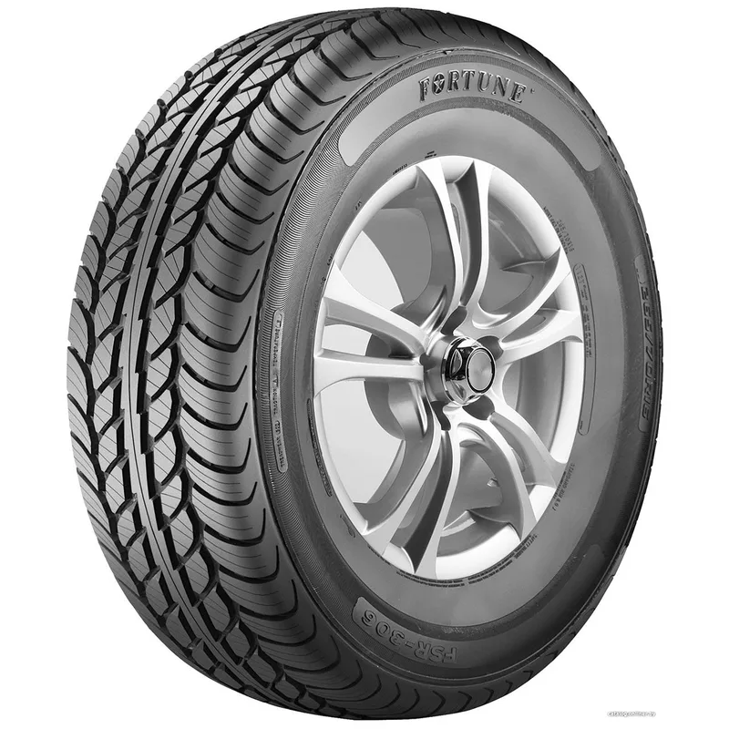 FORTUNE FSR 306