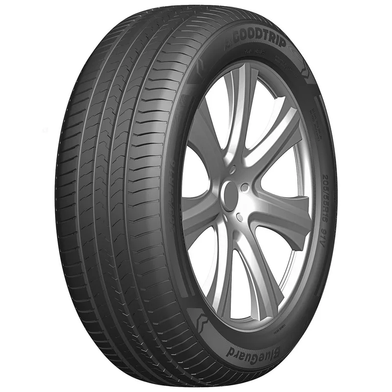 GOODTRIP BLUEGUARD 165/70R13 79T TL