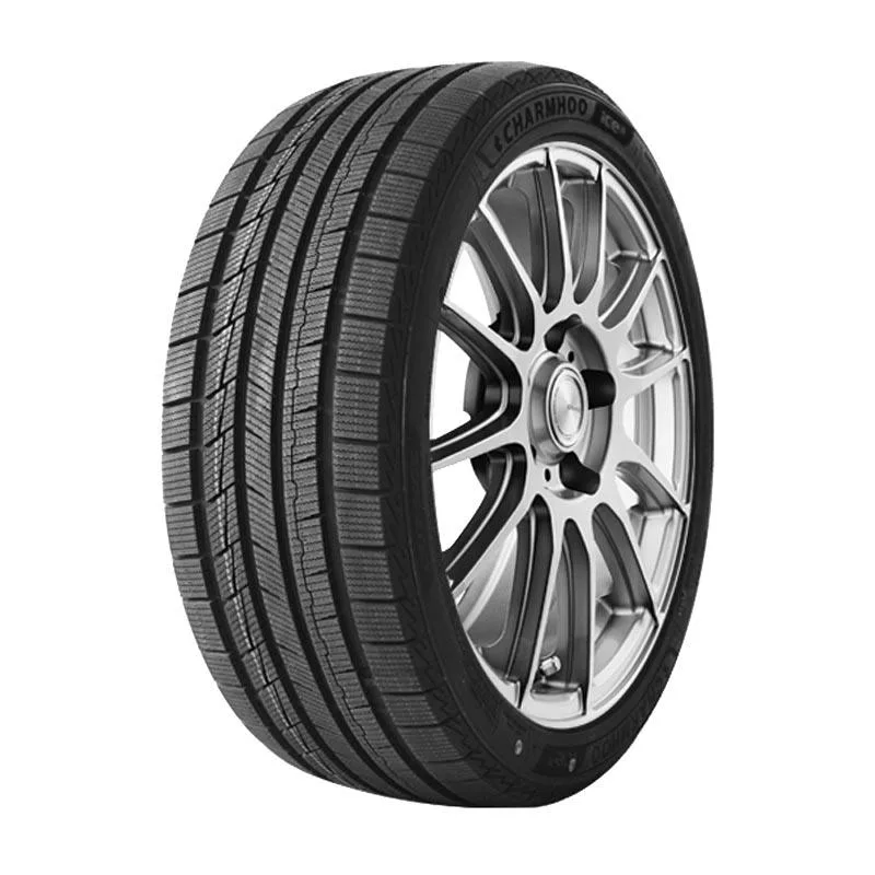 GOPRO EV ICE 205/60R16 96V TL