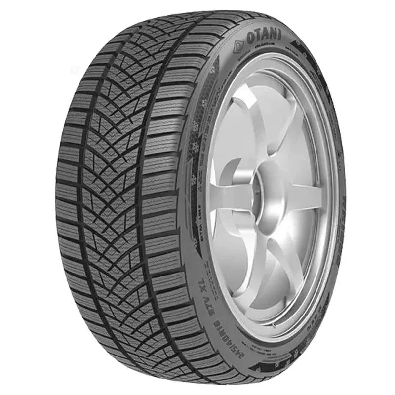 OTANI WK 1000 225/55R16 99V TL