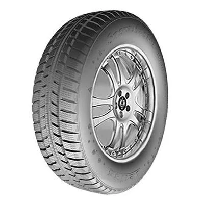 PETLAS W 601 SNOWMASTER 175/70R13 82T TL