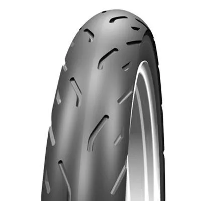 SCHWALBE HS 245