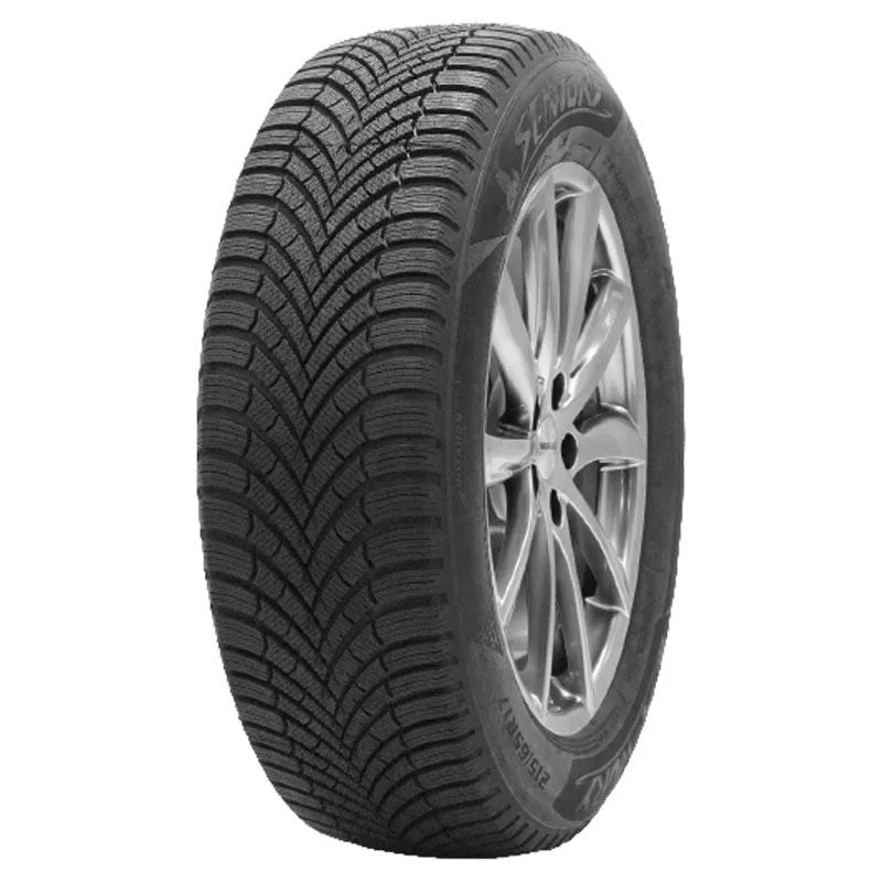 SENTURY WINTERDRAGON 225/40R19 93V TL