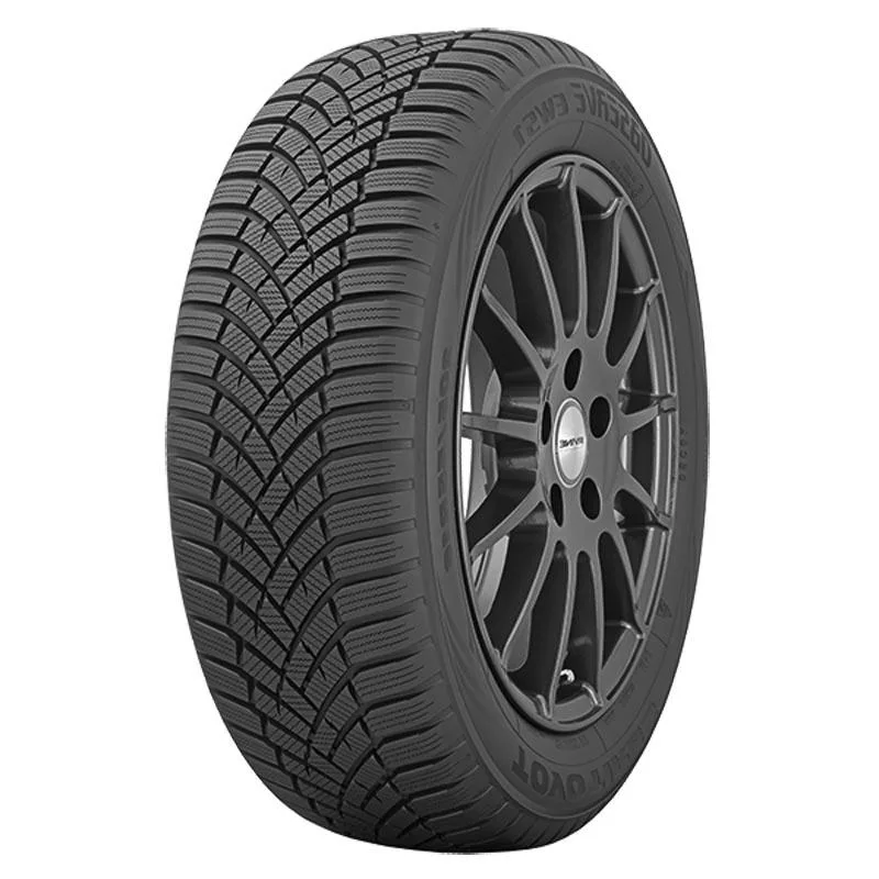 TOYO OBSERVE EWS1