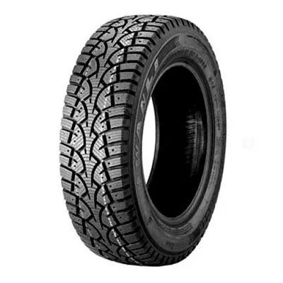 WANLI WINTER CHALLENGER 205/55R16 91H TL